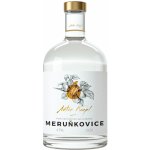 Anton Kaapl Meruňkovice 47% 0,5 l (holá láhev) – Zboží Dáma