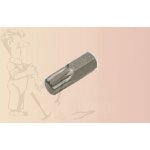 Bit XZN M6 x 30 mm, 10 mm zatíž. do 5 kg BGS 104851 – Sleviste.cz