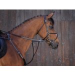 RIDING Martingal WORLD black – Sleviste.cz