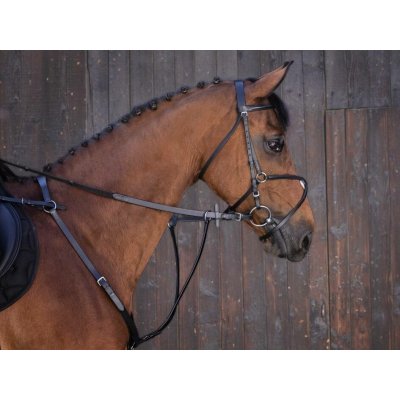 RIDING Martingal WORLD black – Sleviste.cz