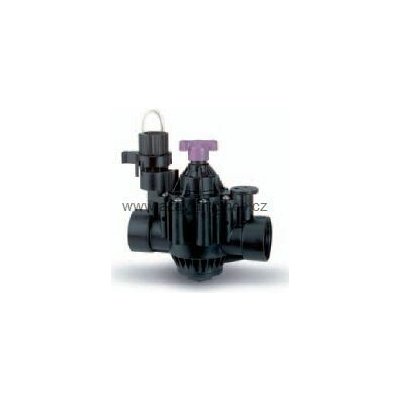 Rain Bird ventil 200-PGA 2“ BSP – Hledejceny.cz