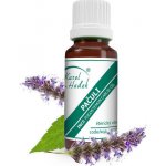 Karel Hadek Pačuli Éterický olej 20 ml – Hledejceny.cz