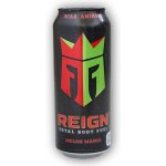 Best Body Nutrition Reign BCAA RTD 0,5 l – Hledejceny.cz