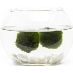 Gardners Skleněná váza boule 15 cm a 2 řasokoule – Sleviste.cz