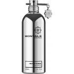 Montale Fruits Of The Musk parfémovaná voda unisex 100 ml – Hledejceny.cz