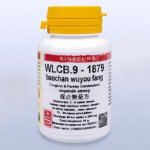 Pragon WLCB.9 baochan wuyou fang pian 36 tablet – Hledejceny.cz