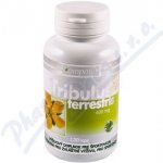 Tribulus terrestris 400 mg 120 kapslí – Hledejceny.cz