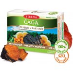 Čaga Reishi Rakytník antioxidant 60 kapslí – Hledejceny.cz