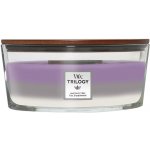 WoodWick Trilogy Amethyst Sky 453,6 g – Zboží Dáma