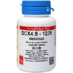 Sinecura BCX4.9-1229 xiebaisan 60 tablet – Hledejceny.cz