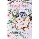Soaptree Vonítko do prádla Indiánská balna 15 g – Hledejceny.cz