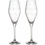 Villeroy & Boch Skleničky na šampaňské Toy's Delight čirá 2 x 260 ml – Zboží Dáma