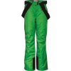 Dámské sportovní kalhoty 2117 SYTER dámské ECO lyžařské kalhoty zelená