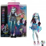 Mattel MONSTER HIGH FRANKIE STEIN – Hledejceny.cz