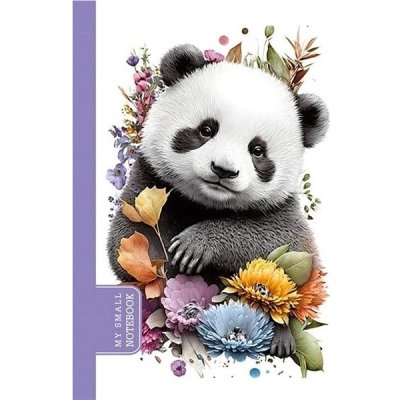 Ditipo Sketchbook Art Panda 10,5 × 14,8 cm – Zboží Mobilmania