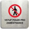 Piktogram Accept Piktogram "vstup pouze pro zaměstnance II" (80 × 80 mm) (stříbrná tabulka - barevný tisk bez