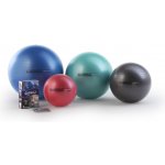 Ledragomma Gymnastic Ball Maxafe 65 cm – Zboží Mobilmania