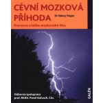 Cévní mozková příhoda – Hledejceny.cz