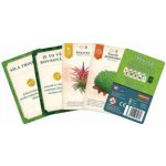 Mindok Pokojovky + promo karty – Hledejceny.cz