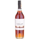 Maison Gélas Armagnac Tradition 40 ANS 40% 0,7 l (karton) – Sleviste.cz