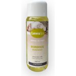Lacoform Pinie 250 ml – Zboží Dáma