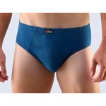 Gina pánské slipy se širším bokem šité s potiskem – Zboží Dáma