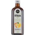 Leros 100% šťáva vylisovaná ze zázvoru a citronu 250 l – Zbozi.Blesk.cz