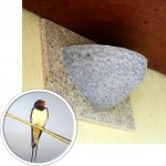 BNB Box Hnízdo pro vlaštovky dřevobeton APZ-2 – Sleviste.cz