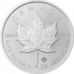 Maple Leaf CANADA stříbrná mince 2015 1 oz – Hledejceny.cz