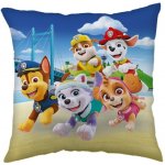 Jerry Fabrics Polštář Paw Patrol Bridge 40x40 – Zboží Dáma