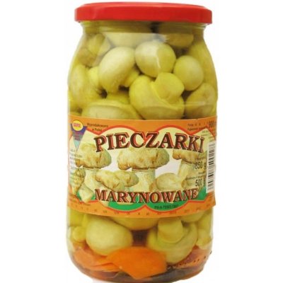 Danpol Žampiony 900 ml – Zboží Dáma