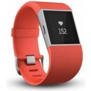 Fitbit Surge L