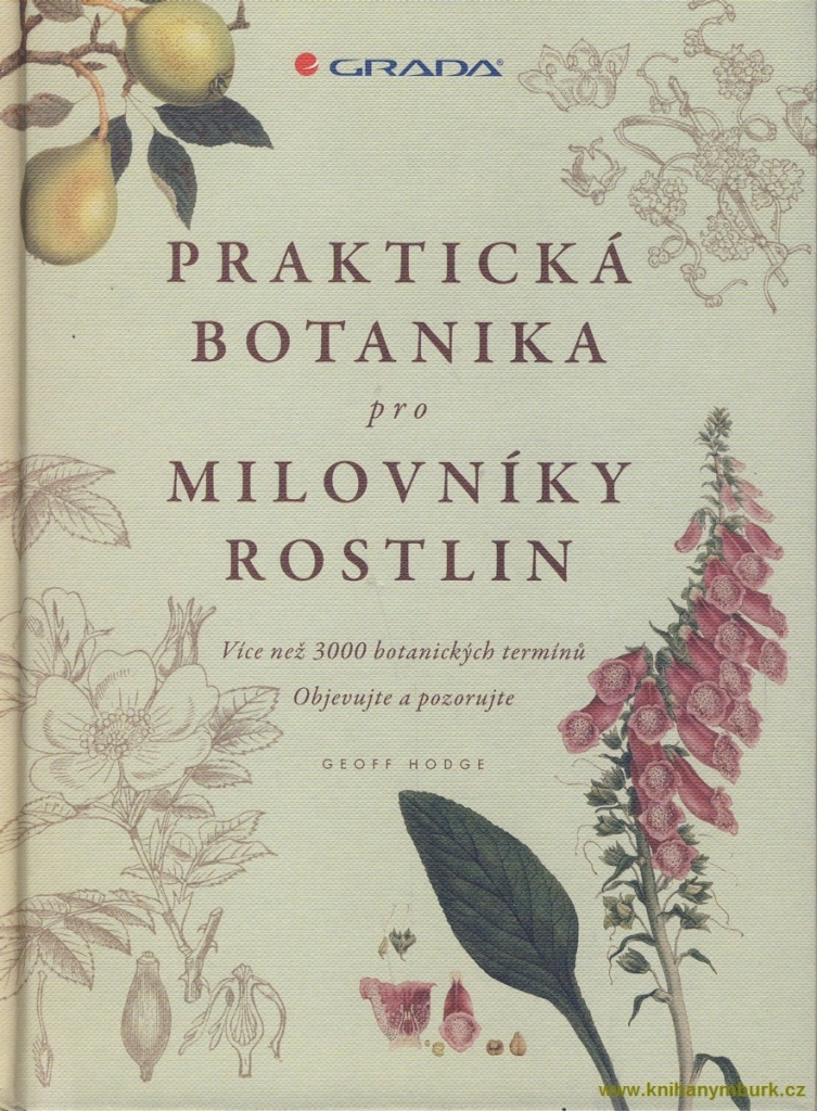 Praktická botanika pro milovníky rostlin – Hodge Geoff