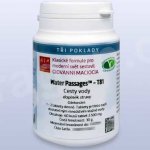 Giovanni Maciocia T81 Cesty vody 60 tablet – Hledejceny.cz