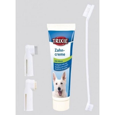 TRIXIE Sada dentální hygieny pro kočky pasta se sýrovou příchutí 50 g dva zubní kartáčky