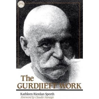 The Gurdjieff Work Speeth Kathleen RiordanPaperback