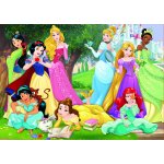 Educa Disney Princess + fix lepidlo 17723 500 dílků – Hledejceny.cz