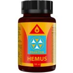 Bewit Prawtein Hemus 100 ml – Hledejceny.cz