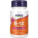 Now Foods Foods Methyl B-12 1000mcg 100 pastilek – Hledejceny.cz