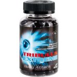 Body Attack Tribulus Extreme 80 kapslí – Hledejceny.cz