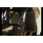 Honda CBF1000F 10-14 Kryt chladiče | Zboží Auto