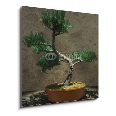 Obraz 1D - 50 x 50 cm - Decorative Bonsai Tree Dekorativní strom bonsai