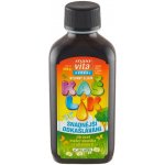 MaxiVita Herbal Bylinný sirup Kašlík 200 ml – Hledejceny.cz