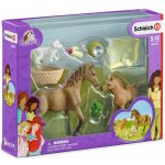 Schleich 42432 Set hříbě a Quarter kůň se štěňátkem a doplňky – Zbozi.Blesk.cz