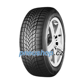 Seiberling Winter 601 225/45 R17 91H