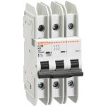 Lovato Electric P1MBUL3PD60 3P, D, 60A, mini – Zboží Mobilmania