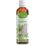 Serafin tinktura z bylin Kaštan Chestnut 50 ml – Hledejceny.cz