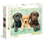 Clementoni Tři labradoři HQC 1000 dílků – Zboží Dáma