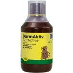 cdVet Aktivní střevo 250 ml – Hledejceny.cz