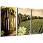 Obraz 3D třídílný - 90 x 50 cm - Wine and vineyard in vintage style Víno a vinice ve vinobraní – Zboží Mobilmania